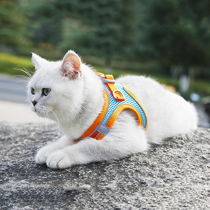 BESPORTBLE Pet Harness and Leash Set with Reflective Strips, Breathable Mesh Dog and Cat Vest Harness Xs, Dual-Color Orange, Lightweight Pet Supply for Puppy and Kitten Walking