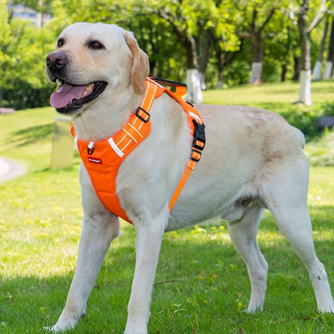 Dog Vest Harnesses Pet Strong Training Walking Swimming Supplies Soft Handle Training Vest Dog Vests for Small Dogs