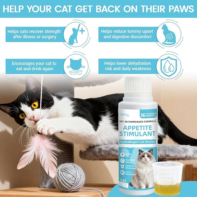 Recovery & Energy Support for Cats | Cat Appetite Stimulant & Hydration Supplement, Cat Electrolytes and Weight Gainer for Sick, Senior, Post-Surgery | Boosts Eating, Drinking&Strength in Weak Felines