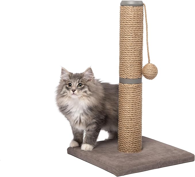 Cat and Kitten Scratch Post w/Dangling Ball 19.5" Tall | for Indoor Use