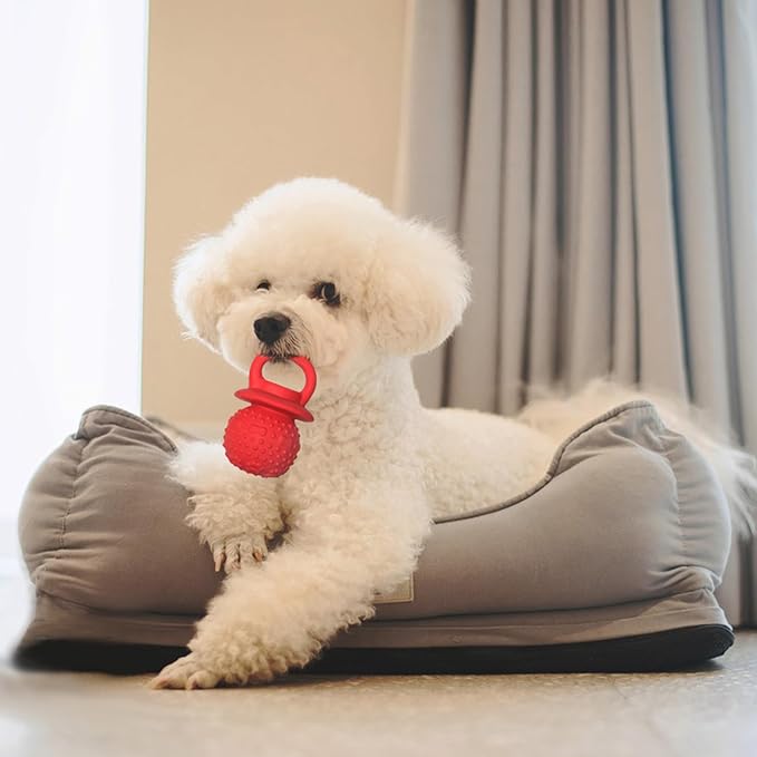 Latex Chew Dog Toys, Novelty Squeaky Pacifier Dog Toys for Teething Puppies, Mild Chewing Small, Medium, Large Dogs, Pet Dogs Supplies Newborn Puppy Gift (Red+Yellow 2 Pcs)