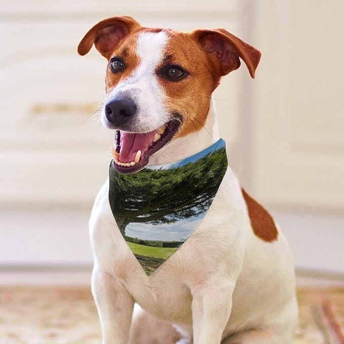 Dog Bandana Spring Pet Scarf Adjustable Triangle Landscape Tree Printing Dog Bib Washable Polyester Puppy Bandana for Small Medium Large Dogs Cat Birthday Party Supplies