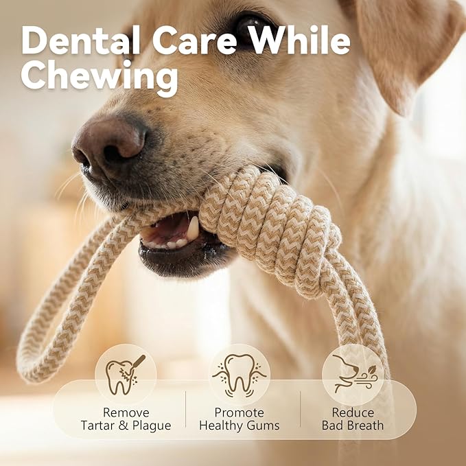 Puppy Chew Toys for Teething, Durable Dog Rope Toys for Small and Medium Dogs, Interactive Chew Rope for Training, L Size