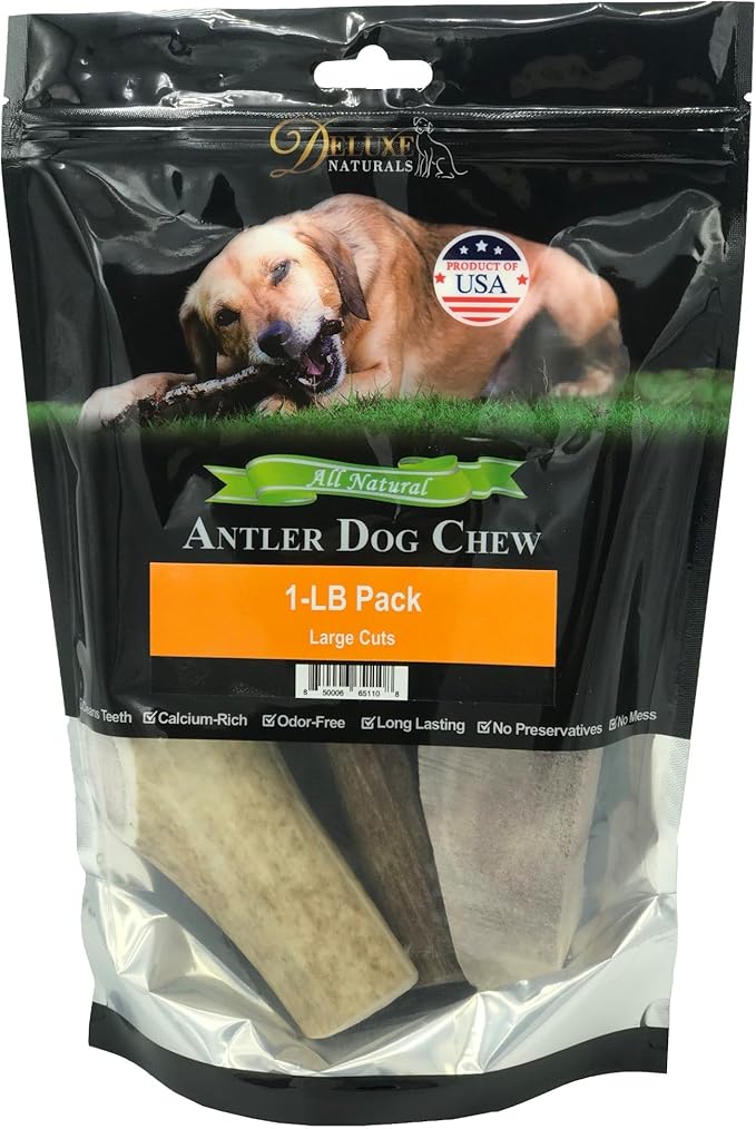 1-LB Large Whole Elk Antlers Dog Chews 6–9+ Inches for Medium & Large Dogs (30–80 lbs) – Long-Lasting Natural Treats for Aggressive Chewers