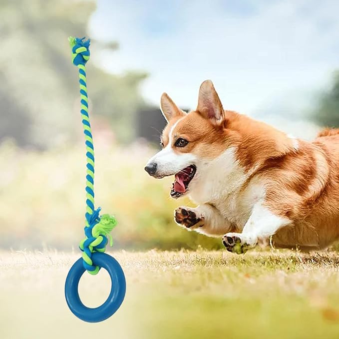 Interactive Dog Tug Toy Pets Supplies with Rings Exercise Playing Running Dog Rope Toy for Kitten Outdoor Lawn Cleaning, Blue