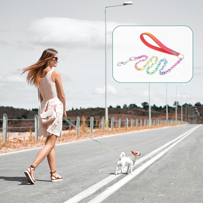 Sturdy Wear-Resistant Metal Chain Dog Leash 3.0mm Sturdy Portable Puppy Walking Leash for Outdoor Pet Supplies