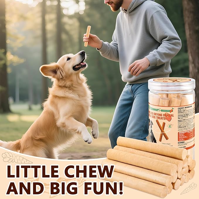 100g/3.52oz Dehydrated Salmon Sticks for Dog,Natural Salmon and Carrots,Easy to Digest and High Protein,for Daily Dog Training and Dental Healthy