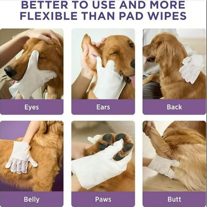 Odor-Removing Pet Grooming Gloves, Nourishing Waterless Portable Grooming Tool, Refreshing and Water-Free, for Cats and Dogs (18pc)