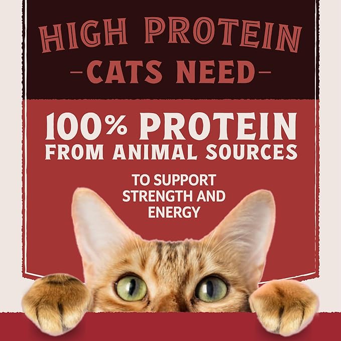 Natural Balance Ultra Protein Wet Cat Food, Salmon & Chicken Recipe in Broth, 2.8 oz (Case of 12)