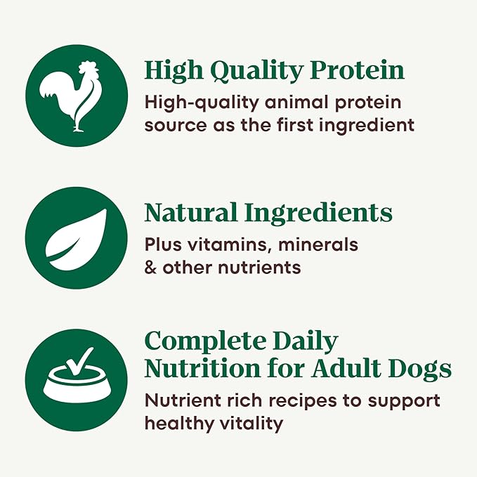 Nutro Natural Choice Premium Loaf Canned Dog Food, Adult Wet Dog Food Turkey Recipe 12.5 oz. cans (12 Count)