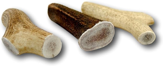 Top Dog Chews – USA Elk Antlers, Premium, Grade A, Thick, Elk Antlers for Extra Large, Large, or Medium Dogs, Natural, Long Lasting Dog Chew for Aggressive Chewers, 5 Pack