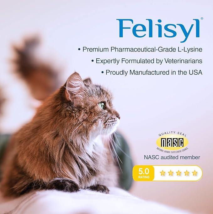 L-Lysine Gel for Cats & Kittens (5oz) – Immune System, Respiratory & Eye Health Support. Reduces Sneezing, Runny Nose & Watery Eyes. Daily Salmon-Flavor Supplement – Made in USA (1 Pack)