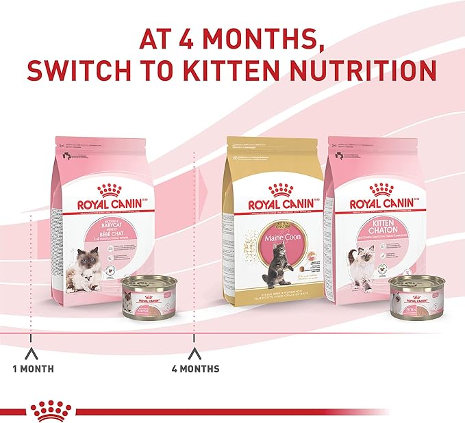 Royal Canin Feline Health Nutrition Mother & Babycat Queen Ultra Soft Mousse in Sauce Cat Food, 5.1 oz (Pack of 24)
