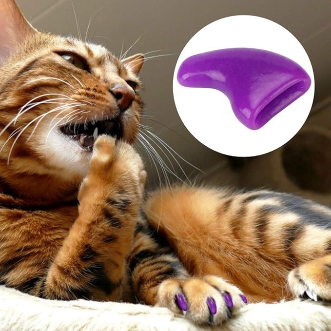 Zerodis Cat Claw Grooming Set, Soft PVC Cat Nail Cover, Claw Caps for Kittens and Cats, Prevent Scratches on Furniture with 100Pcs Available in Green and Purple (XS)