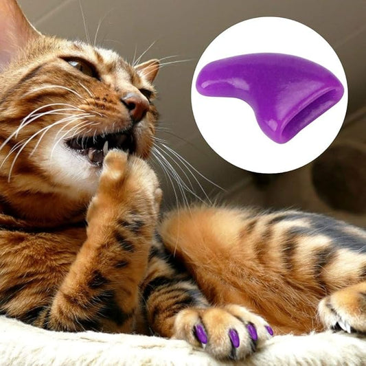 Zerodis Cat Claw Grooming Set, Soft PVC Cat Nail Cover, Claw Caps for Kittens and Cats, Prevent Scratches on Furniture with 100Pcs Available in Green and Purple (XS)