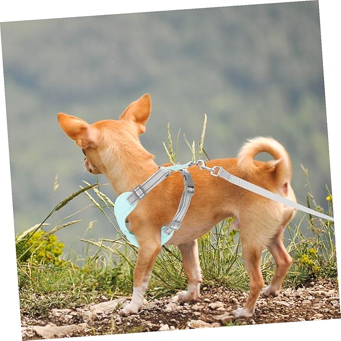 Adjustable Green Dog Vest Harness Reflective Straps, Wear-Resistant Puppy for Outdoor Walking and Training, Large Size Pet Supply