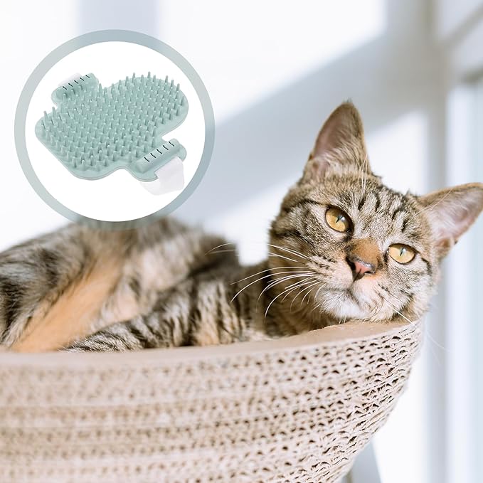 POPETPOP Cat Corner Scratchers and Massaging Comb Wooden Cat Self Grooming Tool with Natural Silvervine Green Pet Hair Comb for Kitten Massage and Itch Relief Random Color