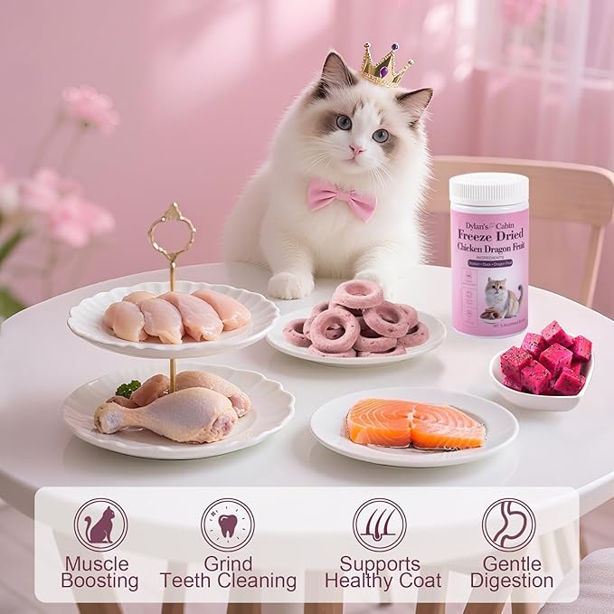 Dylan's cabin Freeze Dried Chicken Cat & Dog Treats - High Protein Dragon Fruit Doughnut with Slamon & Duck Meat Training Kitten Puppy Snack for Coat Gut Healthy, 22pcs