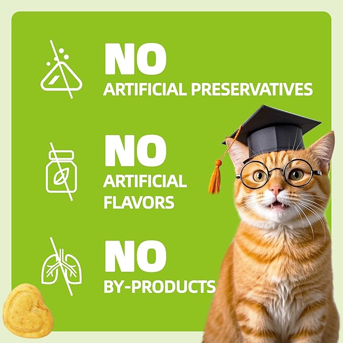 Wellix 13.5oz Probiotic Health Supplement Cat Treats for Indoor Cats - Chicken Flavor Kitten Snacks for Gut+Immune Health - Add Fos & Inulin Cat Training Biscuits