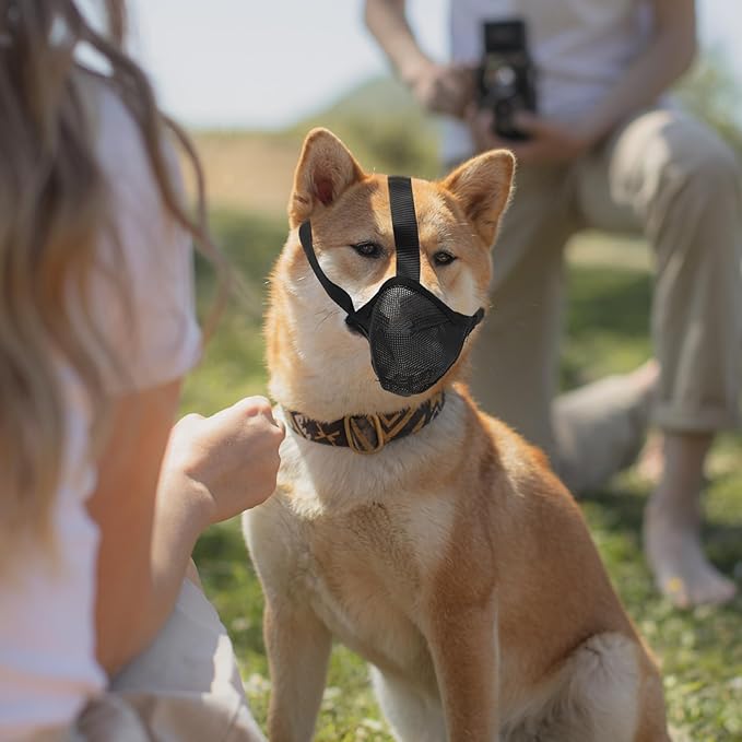 VOSAREA Professional Dog Muzzle Breathable Mesh Soft Mouth Cover Anti-Biting No Barking Muzzle for Large Dogs Black S Size Comfortable Pet Supply Training Grooming
