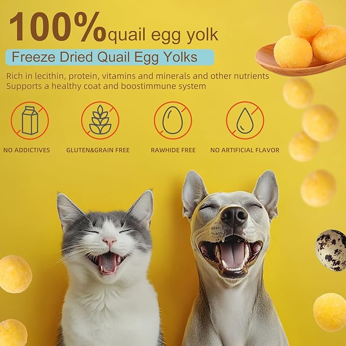 Premium Freeze-Dried Quail Egg Yolks - All-Natural Snack for Cats and Dogs, 100% Pure Quails Yolk Ingredients Pet Treats, Supports Growth with Protein & Iron, Crispy, Nutrient-Dense (S, Apple)