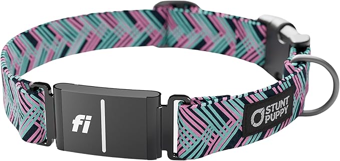 Stunt Puppy Dog Collar, Fi Series 3 Ready, Fishtail Teal, Large - Compatible with Fi GPS Device (Not Included)