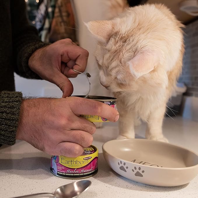 Earthborn-Holistic Cat Food Variety Pack - 4 Flavors: Catalina Catch, Harbor Harvest, Chicken Catcciatori, & Monterey Medley