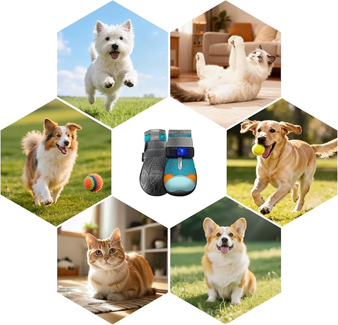 Cat Shoes with Lights - Breathable Non Slip Pet Supplies - Bright Boots with Lights for Cats - for Training & Safety on Night Walks on Hot Asphalt