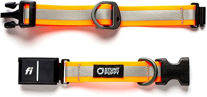 Stunt Puppy Dog Collar, Fi Series 3 and 3+ Ready, XLarge, Reflective Orange - Compatible with Fi GPS Device (Not Included)