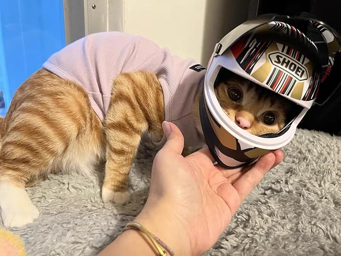 Pet Motorcycle Helmet Dog/Cat Full Face Motorcycle Helmet Outdoor Motorcycle Bike Riding Helmet Hat for Cat Dog Doggie Puppy Kitten Pet Supplies Racing Car Fan Collectible Small Gift (Multicolor)