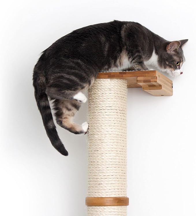 Catastrophic Creations Cat Scratching Post – 2-Tier Cat Wall Scratcher - Bamboo and Sisal Cat Scratcher Post – Durable Cat Scratching Posts for Indoor Cats – Modern Cat Furniture