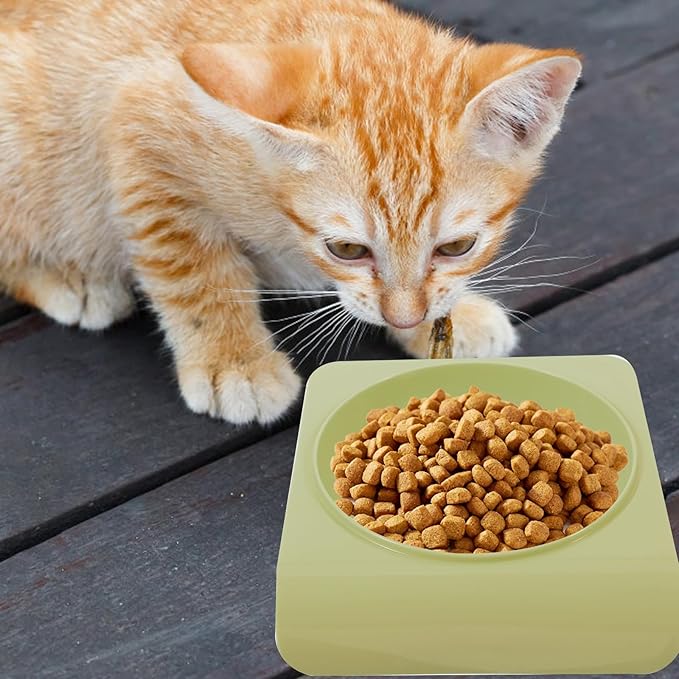 Pet Food Bowl and Water Dish Plastic Puppy Feeder Tilted Neck Protection Single Bowl for Cats and Dogs Household Pet Feeding Supplies Green