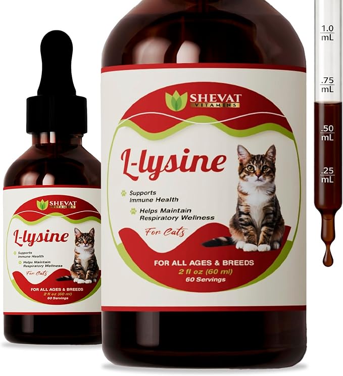 L-Lysine Liquid Supplement for Cats – Immune & Respiratory Support – Supports Eye Health, Sneezing & Runny Nose – 60ml Liquid Drops – Roast Chicken Flavor