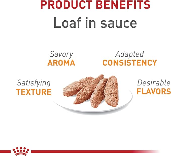 Royal Canin Feline Care Nutrition Hair & Skin Care Adult Loaf in Sauce Cat Food, 3 oz (Pack of 24)