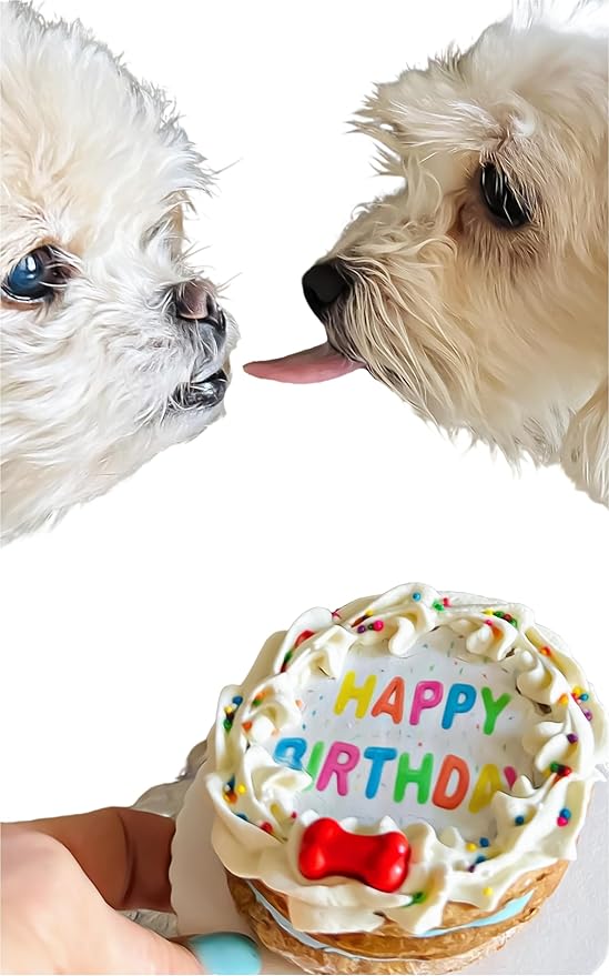 Dog Birthday Cake- Edible Puppy Party Crunchy Cookie Treat Decorated Gift - Bad to The Bone- Perfect Dog Gift