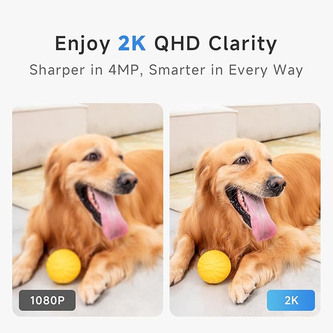 Noorio 2K Security Camera Indoor, Pan/Tilt Pet Camera with Speaker, One Touch Call Baby Monitor Dog Cam, Plug-in 24/7 SD&Cloud Storage, Color Night Vision, 2.4G WiFi, CS201, 2Pcs