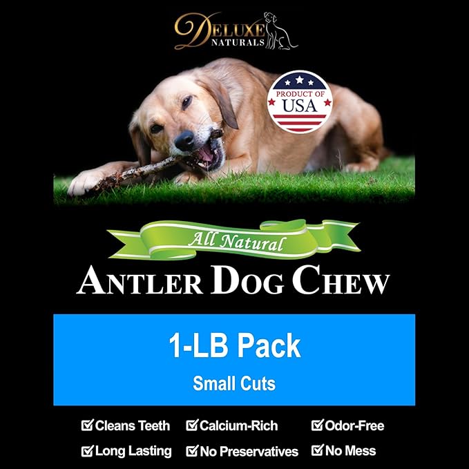 2 x 1-LB Small Mixed Whole & Split Elk Antler Dog Chews for Toy to Small Dogs Under 20 lbs (5-7+ Inch) | Long Lasting | Teeth Cleaning | No Rawhide