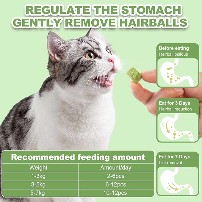 Dylan's cabin Cat Grass Teething Cube Treats - Natural Freeze Dried Edible Cat Chew Toy for Teeth Cleaning and Hairball Removal(80g)