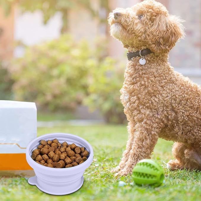 Portable Dog Accessories, Feeder Dish Puppy Bowls, Pet Feeding Station for Puppies Dogs and Kittens, Cat Bowl, Pet Supplies, Cat Feeder, Indoor Outdoor Feeding Kitten Bowls