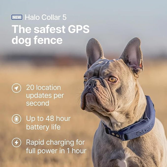 Halo Collar 5, New Wireless Dog Fence & GPS Dog Collar, Subscription Required, Waterproof, Realtree Camo, One Size