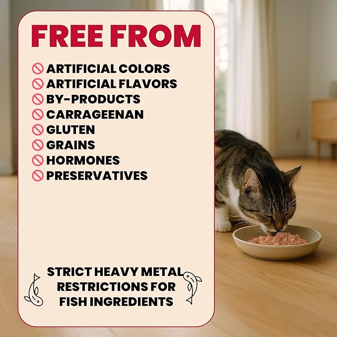 almo nature HQS Complete CAT Wet Cat Food Chicken Dinner with Pineapple in Gravy - Grain-Free Cat Pouch, 1.94 oz (Pack of 12)