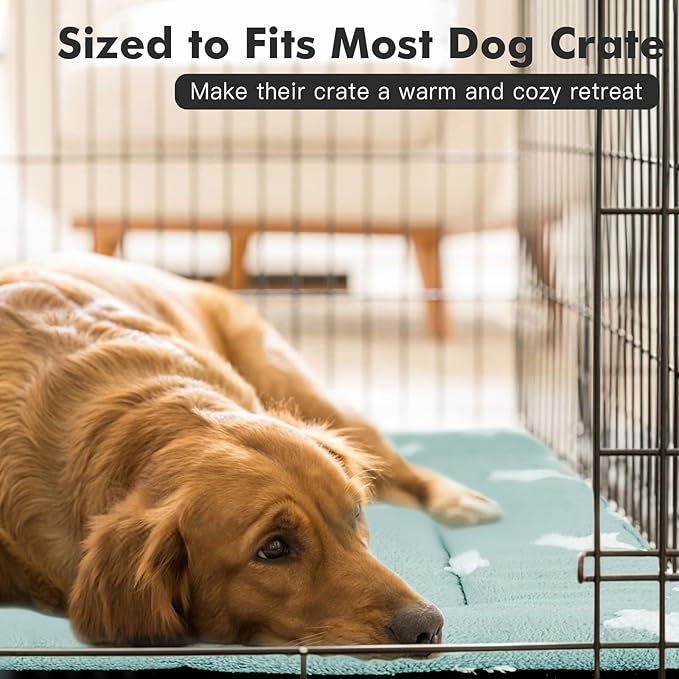 Mora Pets Cat Bed for Indoor Cats Washable Dog Crate Pad Cute Star Dog Bed Mat for Small Dogs Pet Kennel Pad for Cage Soft Flat Puppy Kitten Cushion for Sleeping Anti-Slip Blue 22 x 13