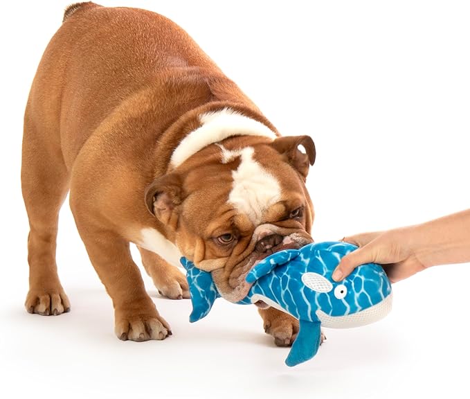 TrustyPup Strong 'N Silent Swimmer Soft Plush Orca Squeaker Chew Guard Dog Toy - Blue, Large
