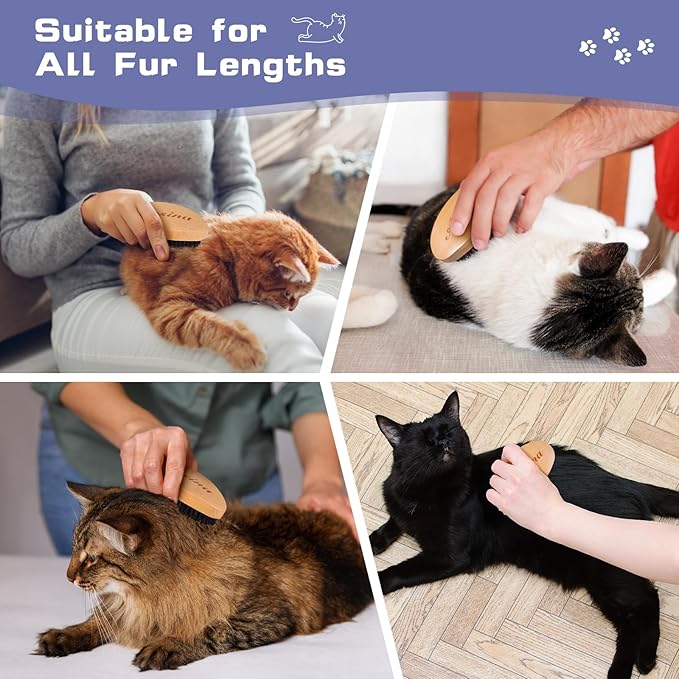 Ultimate Brush for Shedding Control - Professional Cat Grooming With Soft Boar Bristles - Promotes Healthy Coat and Relaxing Massages for Indoor Cats