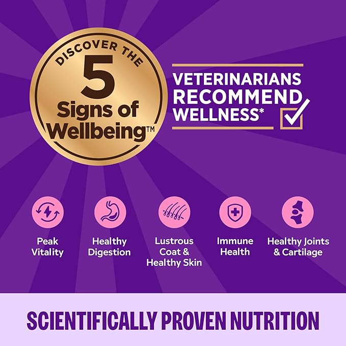 Wellness Complete Health Pate Adult Wet Cat Food, Natural, Protein-Rich, Grain Free, 12.5 Ounce, 12 Pack, (Chicken & Herring)