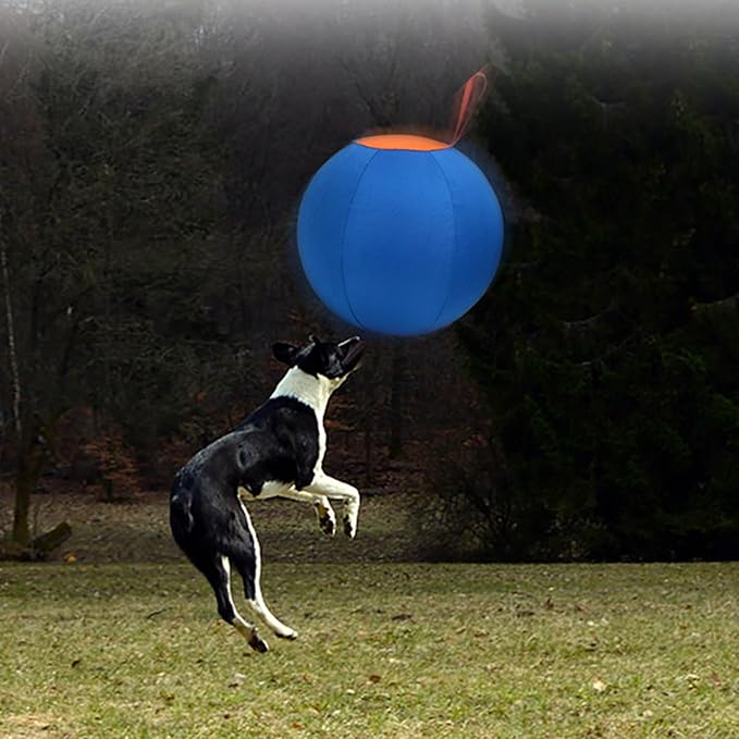 Dogs Herding Ball Toy Funny Interactively Pet Outdoor Inflatable Tooth Cleanning Chew Supplies Horse Balloon Horse Thrower