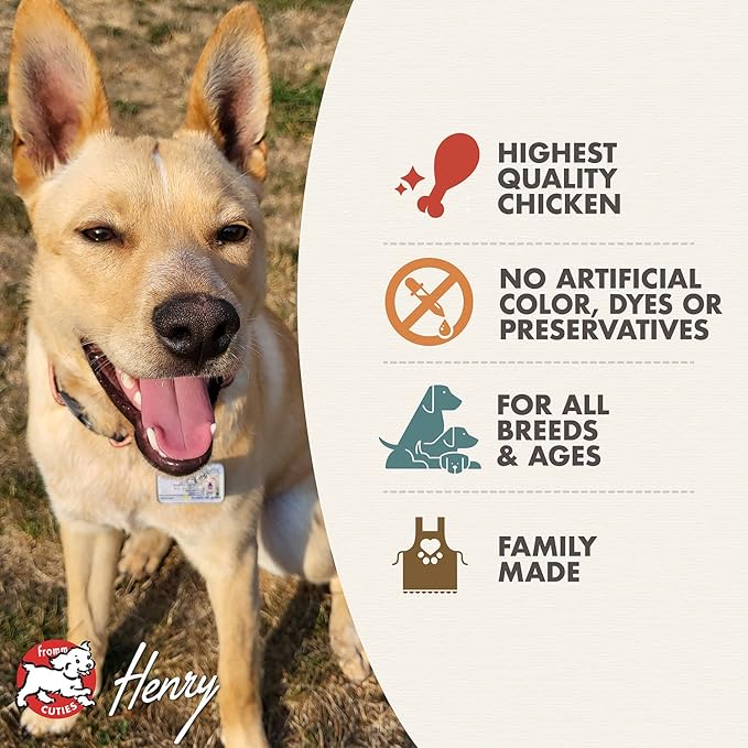 Fromm Diner Specials Chicken Canine Bleu Entrée in Gravy Dog Food - Premium Wet Dog Food - Chicken Recipe - Case of 12 Cans