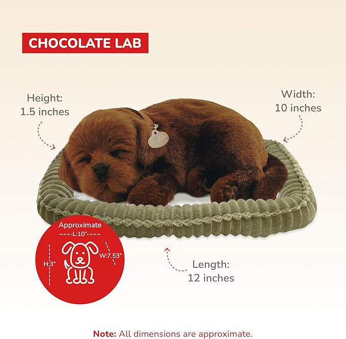 Original Petzzz Chocolate Lab, Realistic, Life-Like Stuffed Interactive Plush Toy, Electronic Pets, Companion Pet Dog with 100% Handcrafted Synthetic Fur