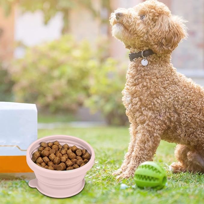 Portable Dog Accessories, Feeder Dish Puppy Bowls, Pet Feeding Station for Puppies Dogs and Kittens, Cat Bowl, Pet Supplies, Cat Feeder, Indoor Outdoor Feeding Kitten Bowls