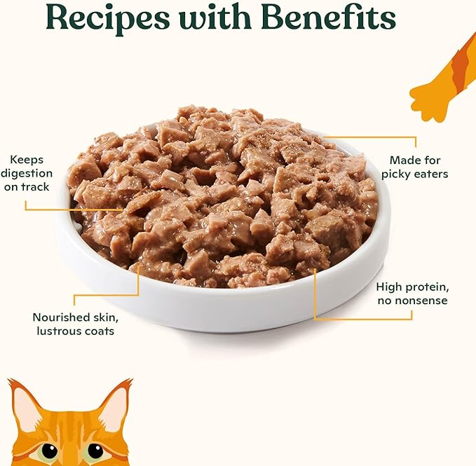 Made by Nacho Sustainably Caught Salmon & Sole Recipe with Bone Broth Minced Wet Cat Food, 5.5-oz can, Case of 6
